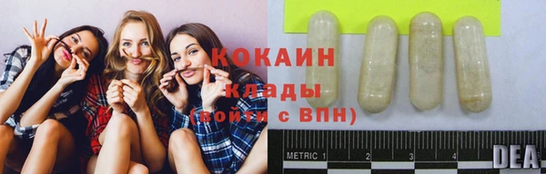 индика Балахна