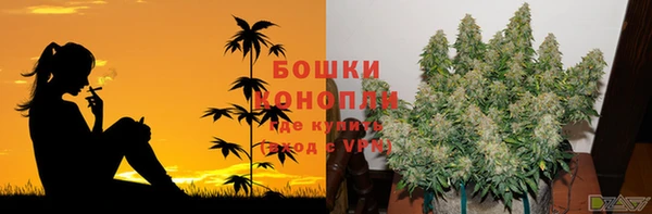 COCAINE Магас