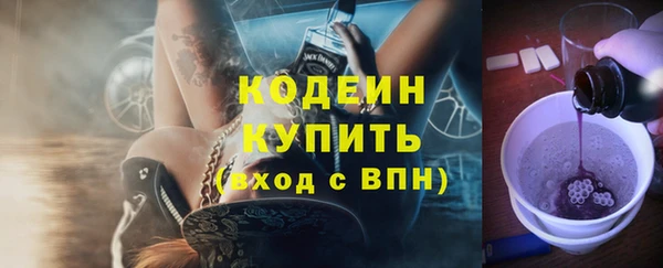 гашик Мегион