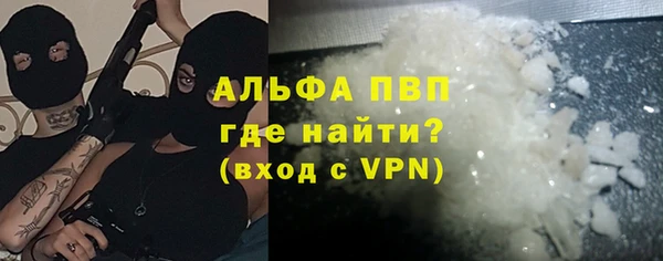 индика Балахна