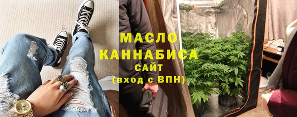 гашик Мегион