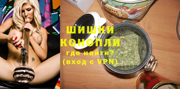 индика Балахна