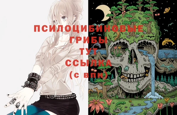 спиды Ступино