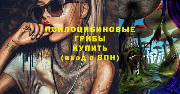 спайс Баксан