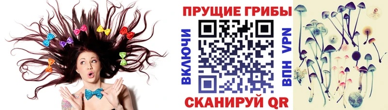 Галлюциногенные грибы Psilocybe  где купить наркоту  Малоярославец 