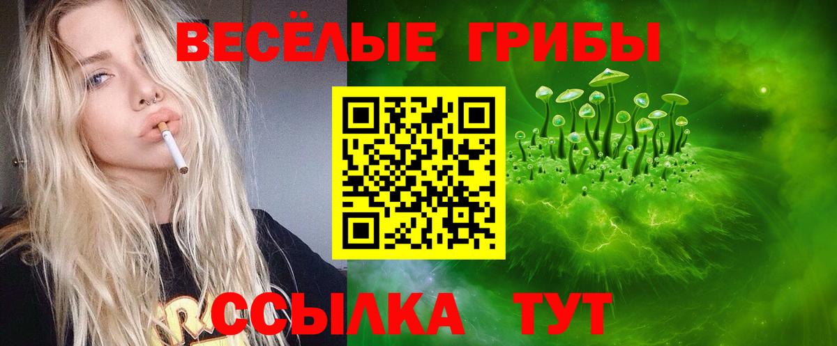 Псилоцибиновые грибы Psilocybe  Вход с VPN  Малоярославец 