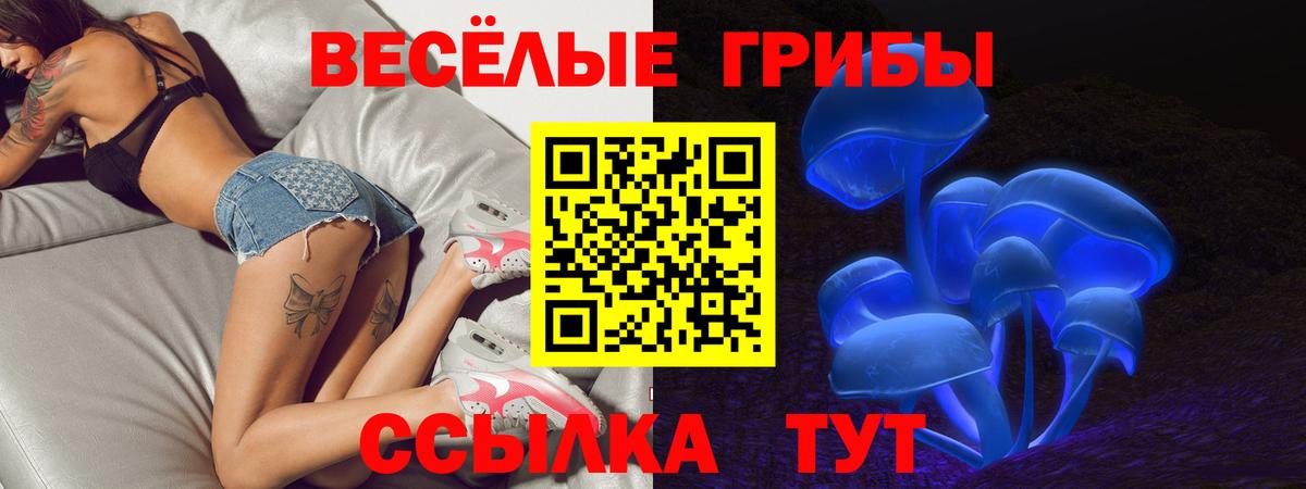 Галлюциногенные грибы Psilocybine cubensis Малоярославец
